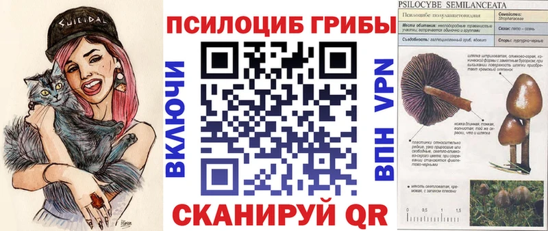 Галлюциногенные грибы Cubensis  Гороховец 