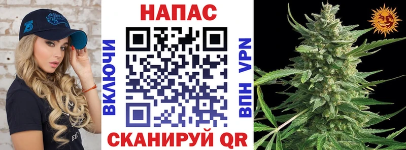 хочу   Гороховец  Конопля марихуана 